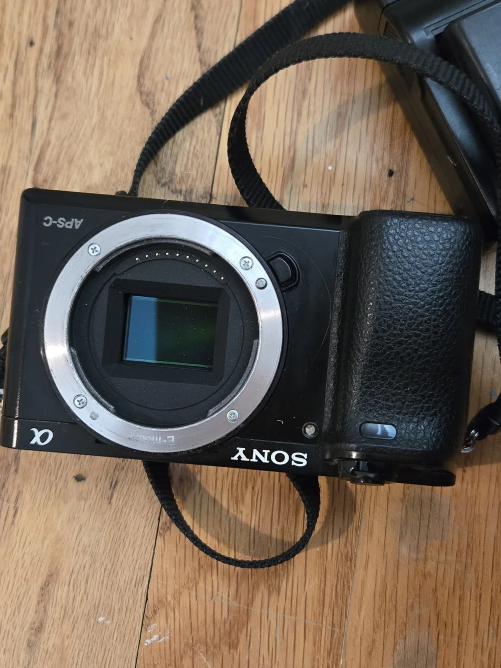 Sony Black Compact Mirrorless Camera with Black Case and Charger